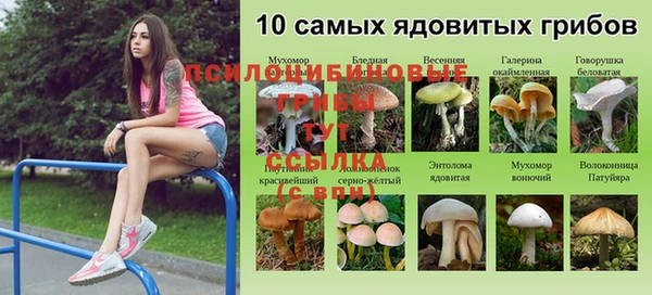 стафф Гусиноозёрск